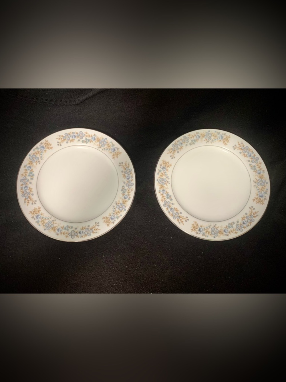 (2) Vintage Oxford “Blue Heaven” Salad/Luncheon Plates Bundle Blue Floral China